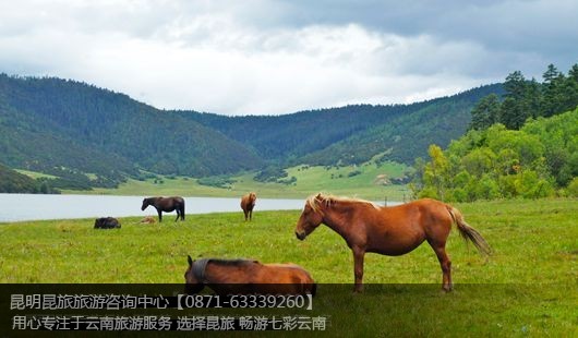 【泸沽湖旅游】昆明+丽江+香格里拉+泸沽湖7天6晚休闲游 安心游☆100%天天发团