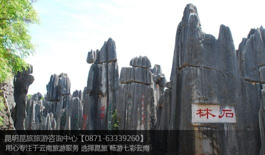 昆明石林+丽江+泸沽湖6天5晚纯玩游