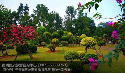 昆明+石林+大理+丽江+泸沽湖+西双版纳11天10晚双飞纯玩游