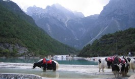 【特卖汇】昆明+石林+大理+丽江+玉龙雪山6天5晚纯玩游