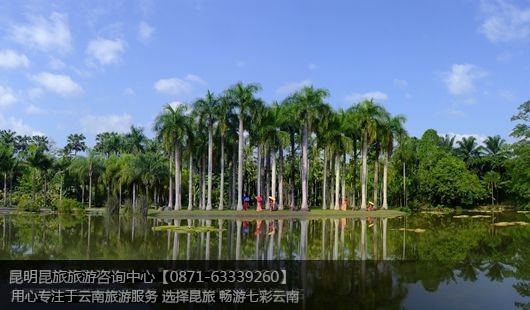 ��˫����+����ֲ��԰+Ұ���+ԭʼɭ�ֹ�԰4��3��˫�ɴ�����