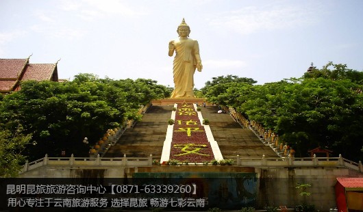 昆明+石林+大理+丽江+香格里拉+西双版纳11天10晚纯玩高品质游