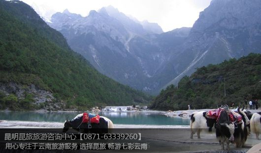 昆明+大理+丽江+香格里拉+泸沽湖+西双版纳12天11晚双飞(纯玩小包团)